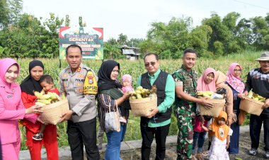 Polres-Madiun-Kota-Panen-Raya-Jagung-Untuk-Dukung-Ketahanan-Pangan-Nasional