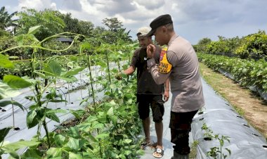 Bhabinkamtibmas-Desa-Sambibulu-Taman,-Sambang-Cek-Perkembangan-Tanaman-P2L