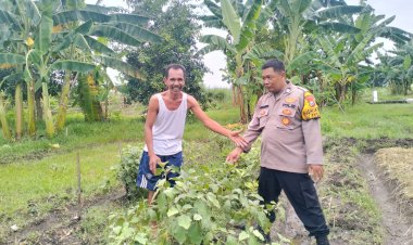 Dukung-Ketahanan-Pangan-Di-Jiken,-Tulangan-dengan-Tanaman-Sayur