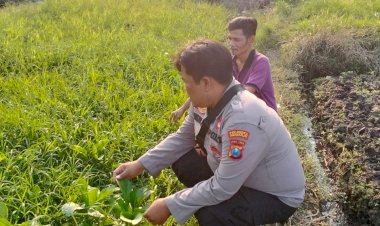 Kanit-Binmas-Polsek-Prambon-Silaturahmi-dengan-Penggerak-Ketahanan-Pangan-di-Desa-Pejangkungan