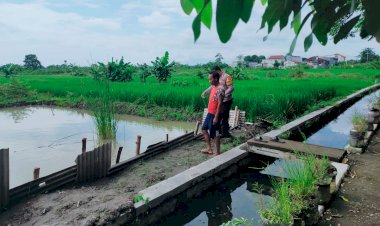 Polsek-Sukodono-Dukung-Warga-Budidaya-Ikan-Nila