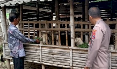 Warga-Desa-Mulyodadi-Manfaatkan-Lahan-Kosong-untuk-Beternak-Kambing,-Dapat-Dukungan-dari-Bhabinkamtibmas