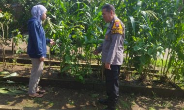 Polsek-Sedati-Silaturahmi-dengan-Warga-Pengelolah-Tanaman-Sayur-Guna-Dukung-Ketahanan-Pangan