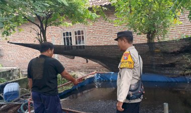 Kapolsek-Taman-Dukung-Program-Ketahanan-Pangan-Melalui-Budidaya-Ikan-Lele-di-Sidoarjo