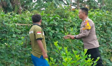 POLRESTA-SIDOARJO-|-Bhabinkamtibmas-di-Wilayah-Kecamatan-Taman-Masifkan-Ketahanan-Pangan-Tingkat-Desa