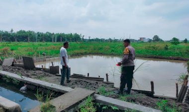 Implementasi-Asta-Cita-Presiden-Prabowo,-Budidaya-Ikan-Nila-di-Sukodono-Perkuat-Ketahanan-Pangan-Kabupaten-Sidoarjo