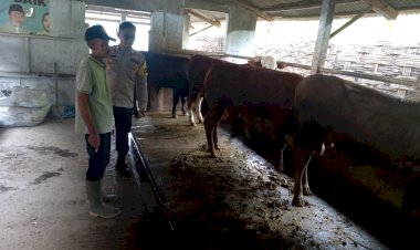 Kanit-Binmas-Polsek-Krembung-Tinjau-Ternak-Sapi-Warga,-Dukung-Program-Swasembada-Pangan-Presiden-RI