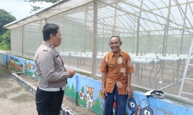 Polsek-Sukodono-Dukung-Penuh-Warga-Tingkatkan-Hasil-Buah-Melon-Golden