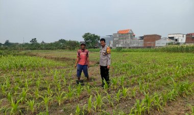 Kapolsek-Gedangan-Gerakkan-Anggota-Dampingi-Warga-Penggerak-Ketahanan-Pangan