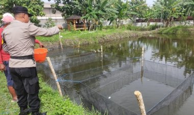 Air-Bersih-dan-Pakan-Bergizi-Jadi-Kunci-Sukses-Budidaya-Gurami,-Pesan-Bhabinkamtibmas-Keboharan-Penggerak-Ketahanan-Pangan