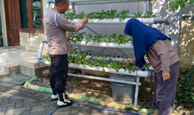 Bhabinkamtibmas-dan-Ketua-Bumdes-Apresiasi-Program-Ketahanan-Pangan-Berbasis-Hidroponik-di-Perumahan-MCA-Sumorame