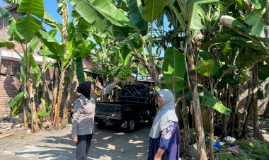 Polisi-Cinta-Petani-Dampingi-Ketahanan-Pangan-Budidaya-Pisang-Warga