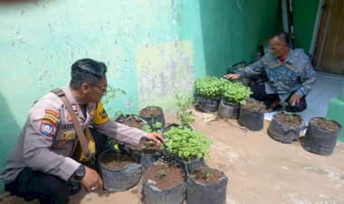 Polsek-Krembung-dan-Pemdes-Rawat-Tanaman-Cabai-Demi-Ketahanan-Pangan-di-Sidoarjo