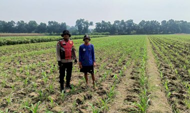 Polisi-Balongbendo-Dampingi-Petani-Optimalkan-Pekarangan-untuk-Ketahanan-Pangan
