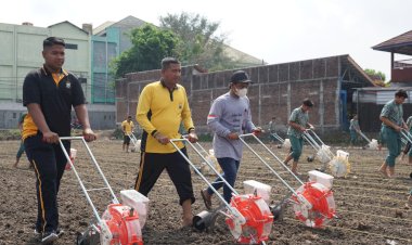 Dukung-Ketahanan-Pangan,-Polresta-Sidoarjo-Bersama-Santri-Bumi-Sholawat-Tanam-Jagung