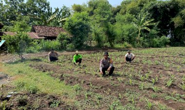 Polsek-Balongbendo-Dukung-Program-Ketahanan-Pangan,-Olah-Lahan-Tidur-di-Pesantren-Jadi-Produktif