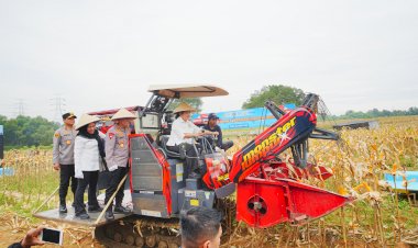 Kapolri-Ketua-Komisi-IV-Pimpin-Panen-Raya-Jagung-Serentak,-Wujud-Nyata-Dukung-Ketahanan-Pangan-Nasional