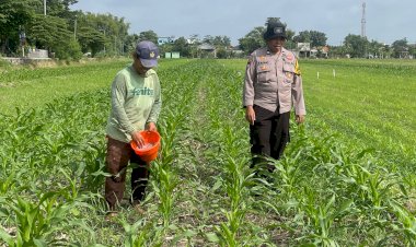 Bhabinkamtibmas-Bakung-Temenggungan-Optimalkan-Lahan-Jagung-Ketahanan-Pangan