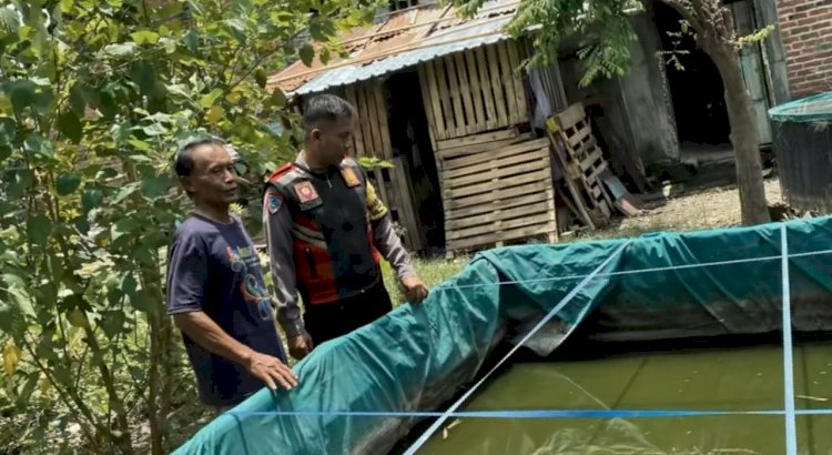 Ubah Lahan Tidur Menjadi Tempat Budidaya Perikanan di Desa Jabaran Balongbendo