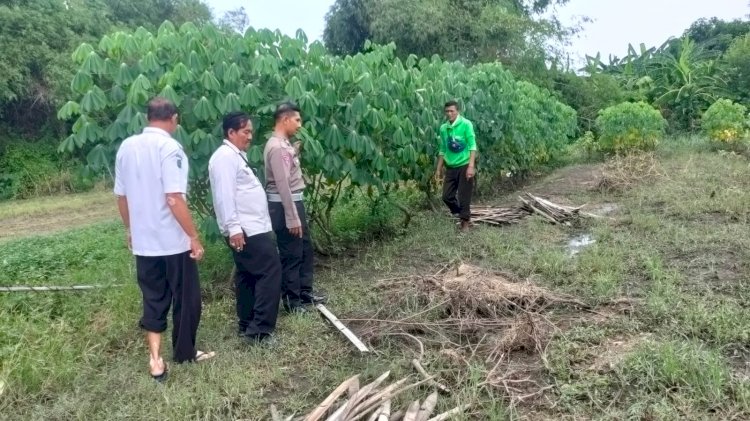 POLRESTA SIDOARJO I Kolaborasi Polisi dan Pemdes Dorong Ketahanan Pangan Lewat Pemanfaatan Pekarangan Kosong di Desa Cemengkalang