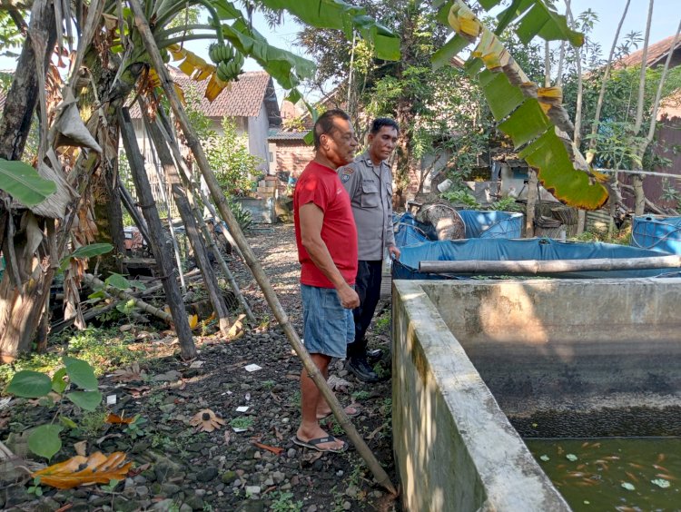 Sukseskan Ketahanan Pangan, Bhabinkamtibmas Himbau Peternak Sapi di Candi Sidoarjo Tingkatkan Pola Gizi Makanan Hewan