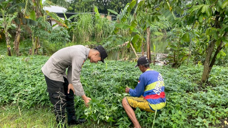 Semangat Warga Desa Janti Dukung Ketahanan Pangan, Manfaatkan Pekarangan Kosong untuk Tanam Kangkung