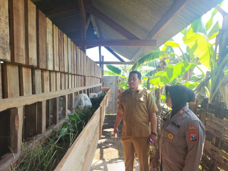Kolaborasi Kanit Binmas Polsek Gedangan bersama Pemdes Punggul Tinjau Program Ketahanan Pangan Peternakan Kambing