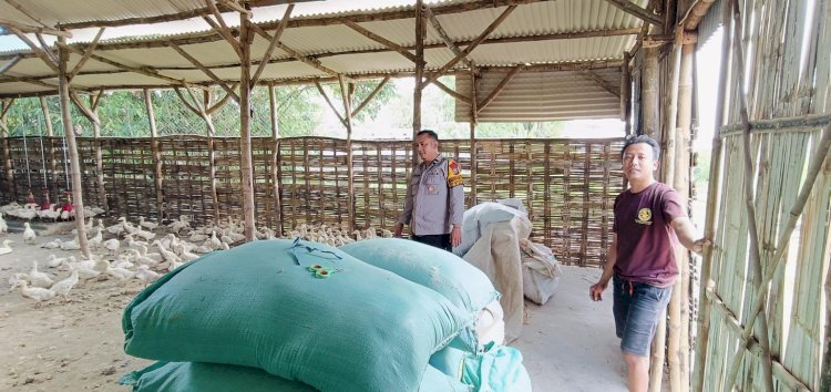 Polisi Ingatkan Pentingnya Kebersihan Kandang dan Pola Pakan dalam Beternak Bebek di Desa Segodobancang