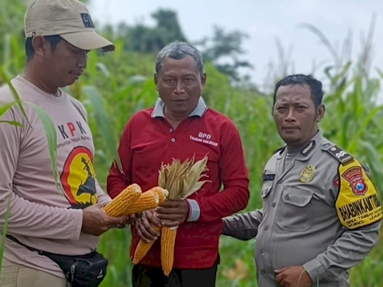 Bhabinkamtibmas Aiptu Kokoh Yugo Dorong Ketahanan Pangan Perkebunan Desa Tambak Kalisogo