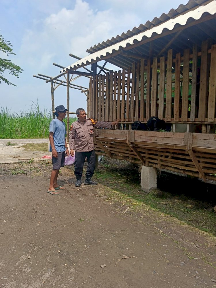 Bhabinkamtibmas Desa Bakungpringgodani Dukung Ketahanan Pangan Lewat Peternakan Kambing