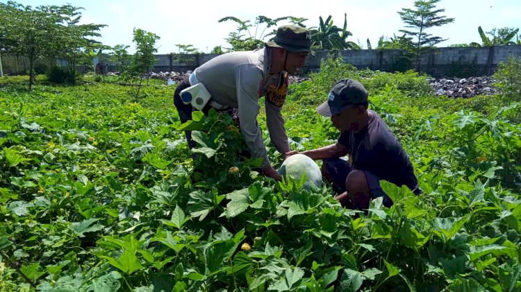 Polsek Tanggulangin Dorong Ketahanan Pangan Polresta Sidoarjo di Pekarangan Bergizi Kalidawir