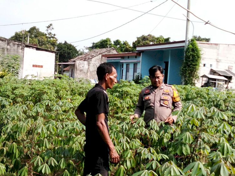 Polsek Prambon Apresiasi Warga Tanam Singkong