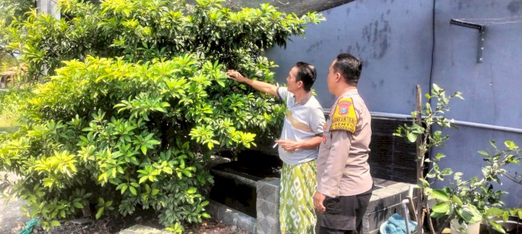 Polresta Sidoarjo dan Bhabinkamtibmas Sentul Sinergi Dorong Swasembada Pangan