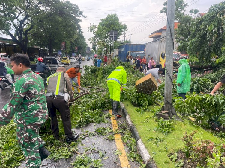 Pohon Tumbang Timpa Mobil di Buduran, Polsek Buduran Gerak Cepat Lakukan Penanganan